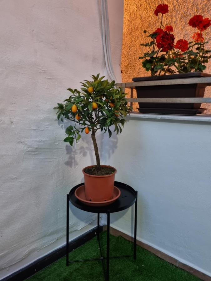Giardino Moreno Palermo Bagian luar foto